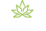 DCD GmbH & Co. KG
