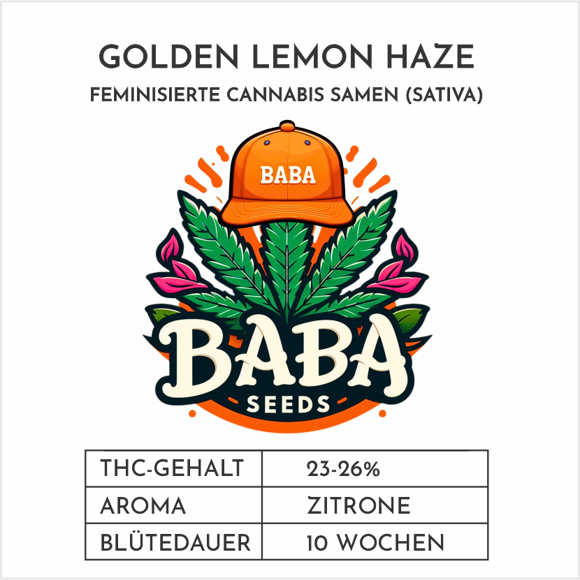 Baba Seeds I Golden Lemon Haze