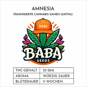 
                  
                    Baba Seeds I Amnesia
                  
                