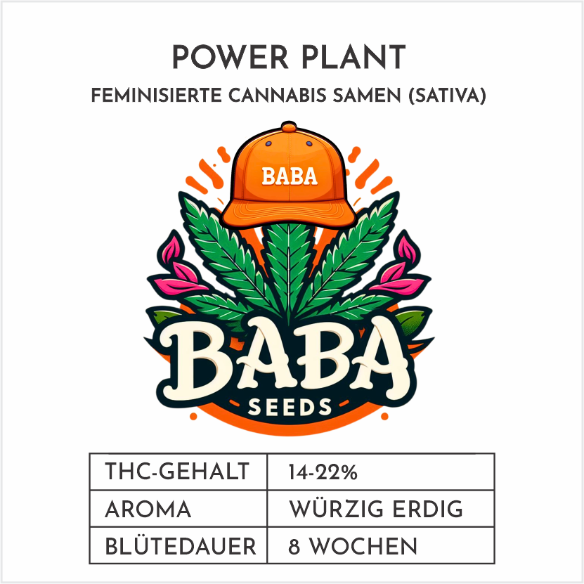 Baba Seeds I Power Plant