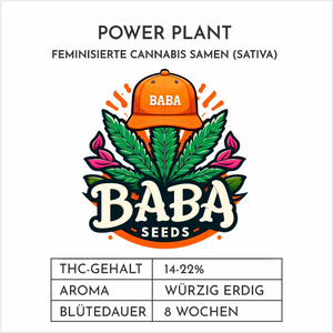 
                  
                    Baba Seeds I Power Plant
                  
                