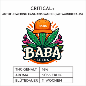 
                  
                    Baba Seeds I Critical Auto
                  
                